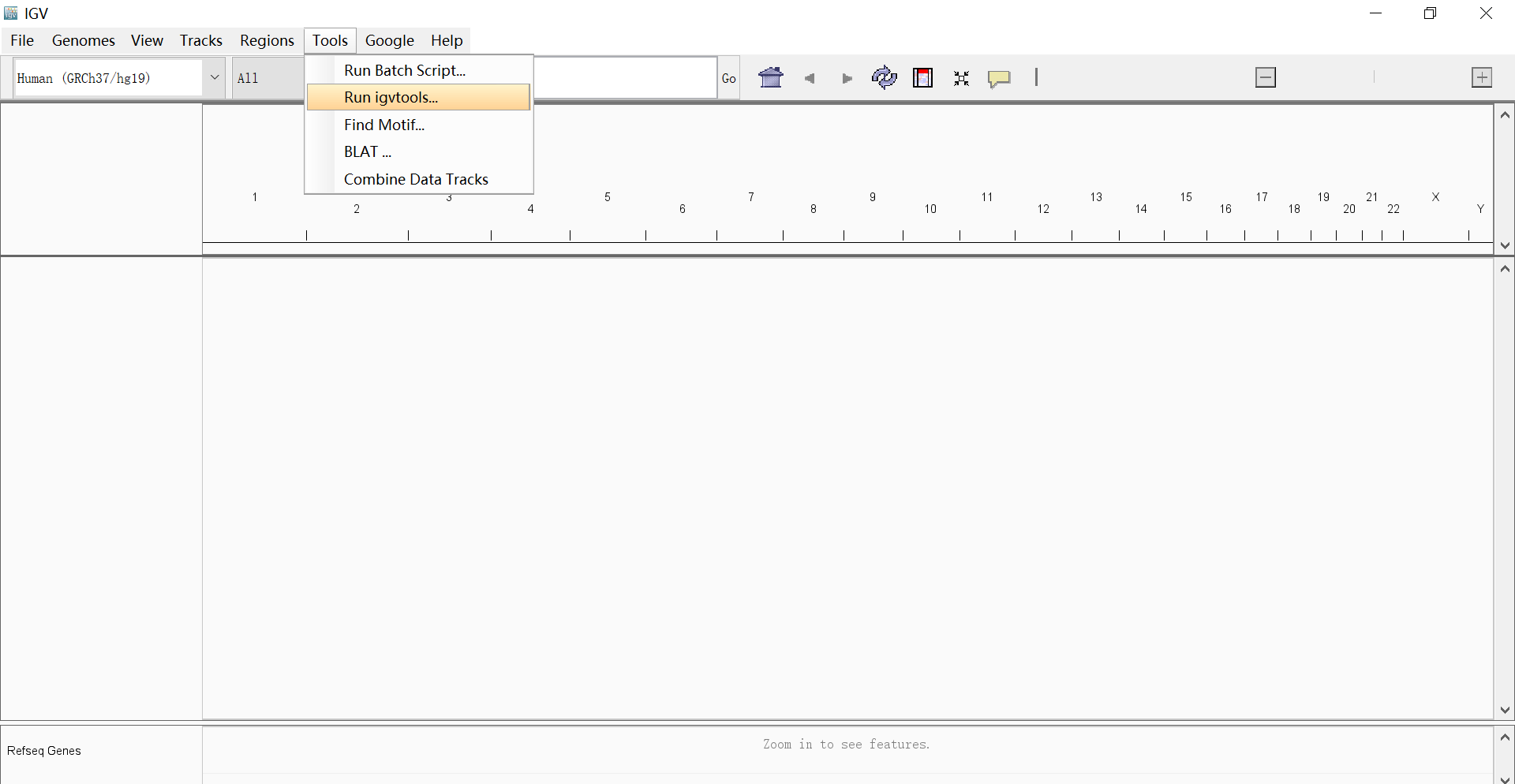 IGV screenshot accessing to the igvtools